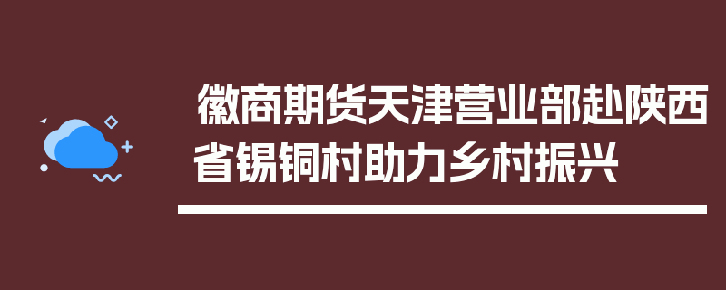 徽商期货天津营业部赴陕西省锡铜村助力乡村振兴