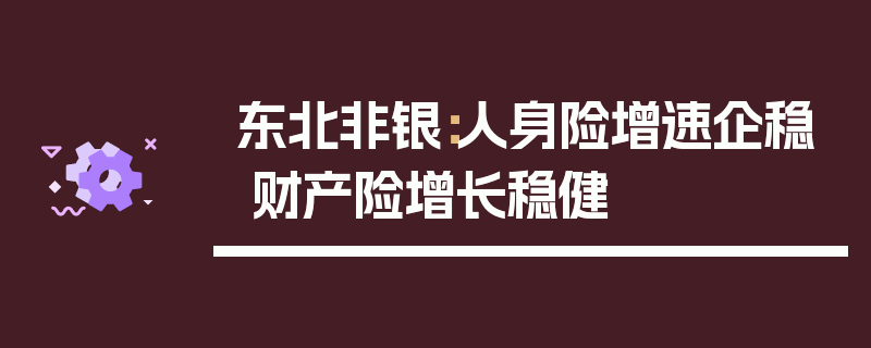 东北非银：人身险增速企稳 财产险增长稳健