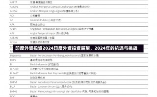 印度外资投资2024印度外资投资展望，2024年的机遇与挑战