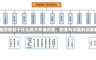 大学 组织部是干什么的大学组织部，职责与功能的深度解析