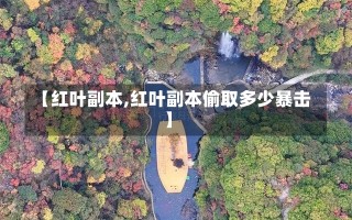 【红叶副本,红叶副本偷取多少暴击】