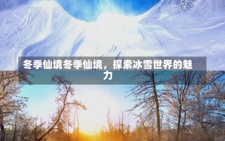 冬季仙境冬季仙境，探索冰雪世界的魅力