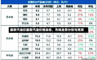 最新汽油价最新汽油价格动态，市场走势分析与预测