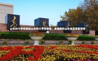 山东的大学有哪些山东的大学有哪些，全面解析山东省高等教育格局