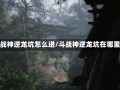 斗战神逆龙坑怎么进/斗战神逆龙坑在哪里