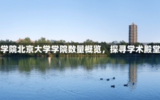 北京大学多少学院北京大学学院数量概览，探寻学术殿堂的多元魅力