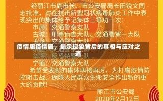 疫情庸疫情庸，揭示现象背后的真相与应对之道