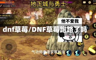 dnf草莓/DNF草莓跑路了吗