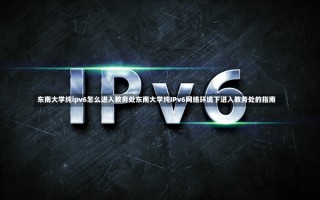 东南大学纯ipv6怎么进入教务处东南大学纯IPv6网络环境下进入教务处的指南