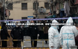 上海新增死亡病例3例上海新增死亡病例3例，疫情下的城市挑战与应对策略