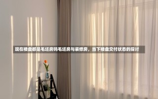 现在楼盘都是毛坯房吗毛坯房与装修房，当下楼盘交付状态的探讨