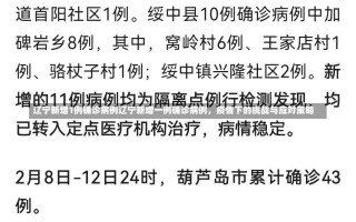 辽宁新增1例确诊病例辽宁新增一例确诊病例，疫情下的挑战与应对策略