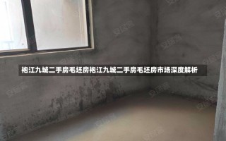 袍江九城二手房毛坯房袍江九城二手房毛坯房市场深度解析