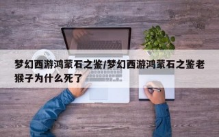 梦幻西游鸿蒙石之鉴/梦幻西游鸿蒙石之鉴老猴子为什么死了