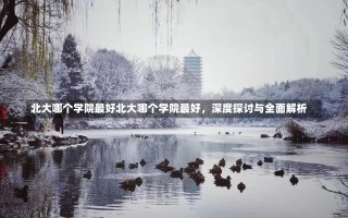 北大哪个学院最好北大哪个学院最好，深度探讨与全面解析