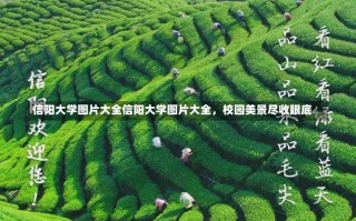 信阳大学图片大全信阳大学图片大全，校园美景尽收眼底