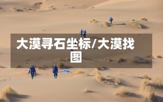 大漠寻石坐标/大漠找图