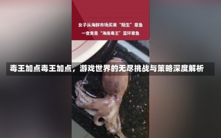 毒王加点毒王加点，游戏世界的无尽挑战与策略深度解析