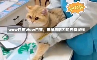 wow白猫Wow白猫，神秘与魅力的独特展现