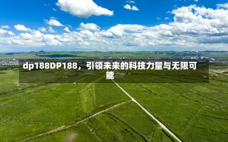 dp188DP188，引领未来的科技力量与无限可能