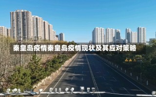 秦皇岛疫情秦皇岛疫情现状及其应对策略