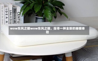 wow东风之眠wow东风之眠，探寻一种全新的睡眠体验