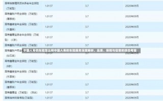 中国人寿的车险怎么样中国人寿的车险服务深度解析，品质、保障与信誉的综合考量