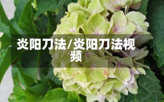 炎阳刀法/炎阳刀法视频