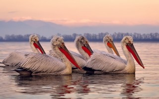 梦幻西游仙族门派/梦幻西游仙族门派适合平民玩家