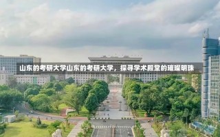 山东的考研大学山东的考研大学，探寻学术殿堂的璀璨明珠