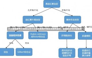 小三阳和病毒中等怎么办小三阳与病毒中等状况如何应对，全面解析与行动指南