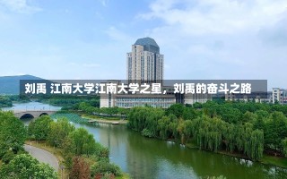 刘禹 江南大学江南大学之星，刘禹的奋斗之路