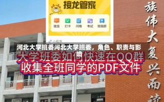 河北大学班委河北大学班委，角色、职责与影响