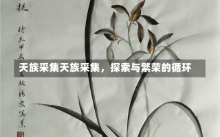 天族采集天族采集，探索与繁荣的循环