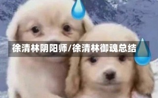 徐清林阴阳师/徐清林御魂总结