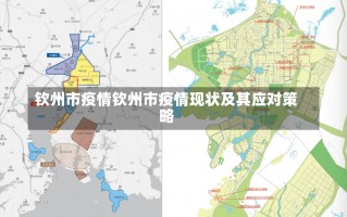 钦州市疫情钦州市疫情现状及其应对策略