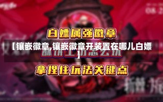 【镶嵌徽章,镶嵌徽章开装置在哪儿白嫖】