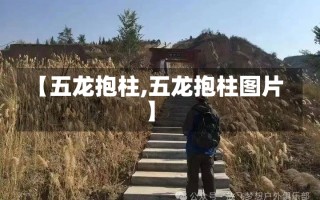 【五龙抱柱,五龙抱柱图片】