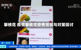 攀枝花 疫情攀枝花疫情现状与对策探讨