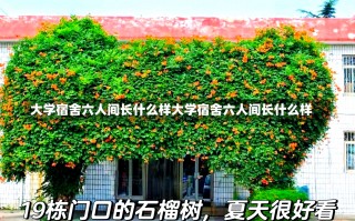 大学宿舍六人间长什么样大学宿舍六人间长什么样