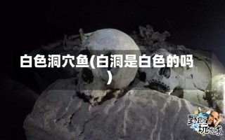 白色洞穴鱼(白洞是白色的吗)