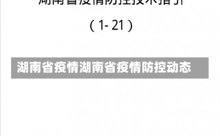 湖南省疫情湖南省疫情防控动态