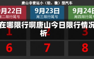 今天唐山在哪限行啊唐山今日限行情况深度解析