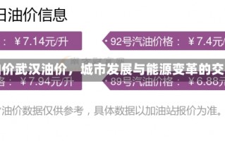 武汉油价武汉油价，城市发展与能源变革的交汇点