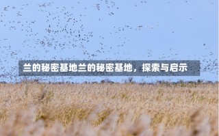 兰的秘密基地兰的秘密基地，探索与启示