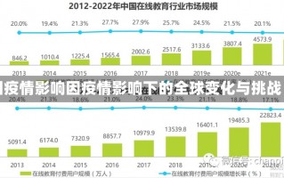 因疫情影响因疫情影响下的全球变化与挑战