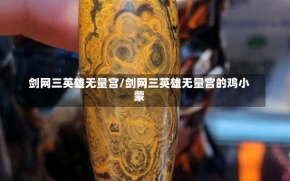 剑网三英雄无量宫/剑网三英雄无量宫的鸡小蒙