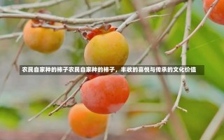 农民自家种的柿子农民自家种的柿子，丰收的喜悦与传承的文化价值