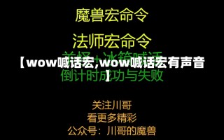 【wow喊话宏,wow喊话宏有声音】