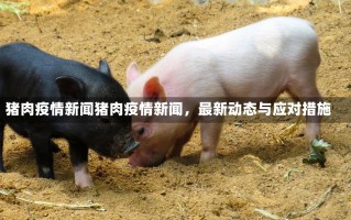 猪肉疫情新闻猪肉疫情新闻，最新动态与应对措施